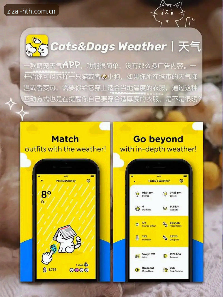 探索自在乐趣APP安卓入口到底值不值得下载？一个老用户的真实体验